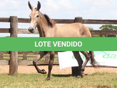 LOTE 022 - REVISTA