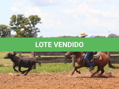 LOTE 014 - SORVETE