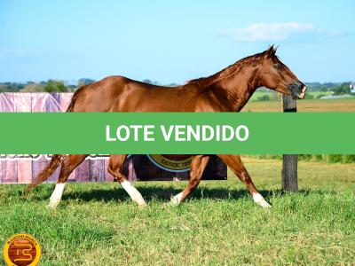 LOTE 013 - SOLTERA REY PEP B (2x1)