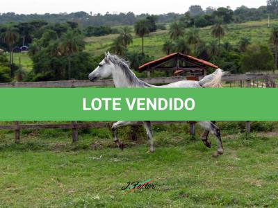 LOTE 007 - SPECIAL EAGLE RWS