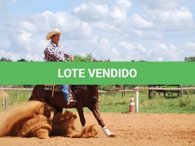 LOTE 018 - PEPTO SILVER