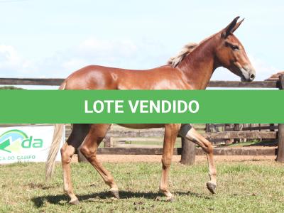 LOTE 021 - DIAMANTE