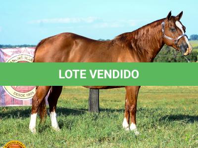 LOTE 013 - SOLTERA REY PEP B (2x1)