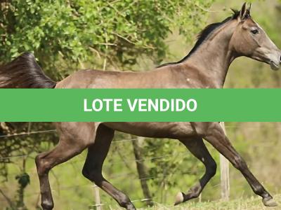 LOTE 022 - KEYS BOON PLAY Z
