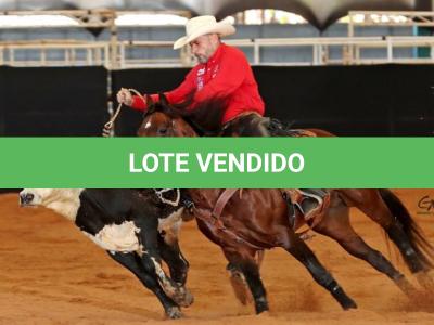 LOTE 100 - ONCE IN METAL (Coberturas)