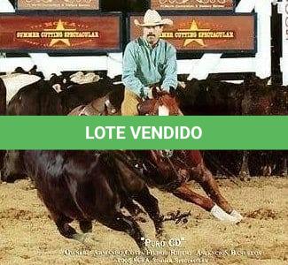LOTE 034 A - PURO CD (Coberturas)