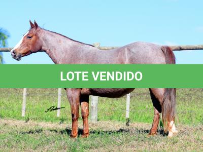 LOTE 002 - INDUTORA PISTOL AJS