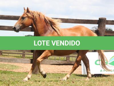 LOTE 012 - BOA IDEIA