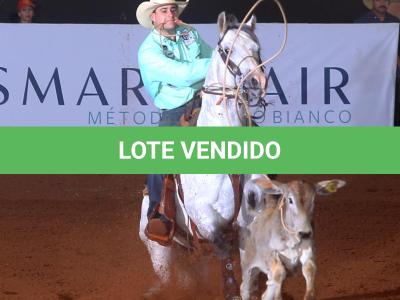 LOTE 047 - METALLIC BOY (Coberturas)