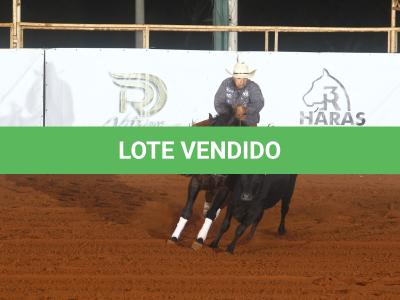 LOTE 100 - ONCE IN METAL (Coberturas)