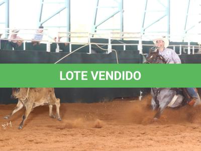LOTE 100 - METALLIC REY STAR 4M (Coberturas)
