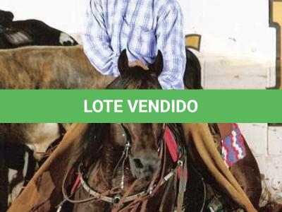 LOTE 003 - TINA JAY CASH