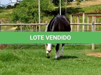 LOTE 011 - SEVERUS BOY MIME