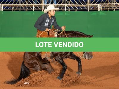 LOTE 100 - ONCE IN METAL (Coberturas)