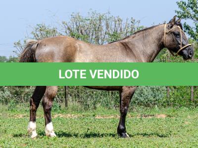 LOTE 015 - LOS MOIRONES IANSÃ