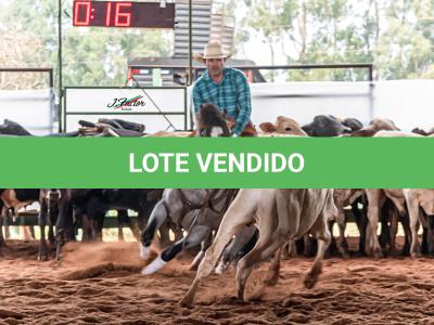 LOTE 100 - ONCE IN METAL (Coberturas)