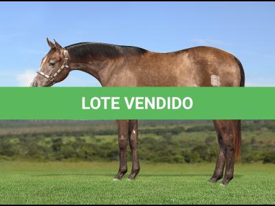 LOTE 022 - KEYS BOON PLAY Z