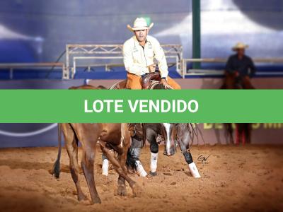 LOTE 100 - ONCE IN METAL (Coberturas)