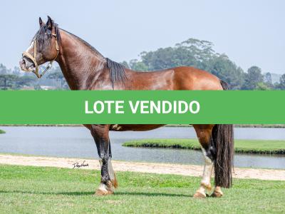 LOTE 007 - GOVERNADOR DA FLORÊNCIA