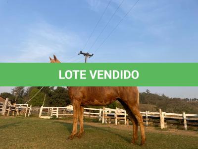 LOTE 007 - FAST IN COUNTRY PDL