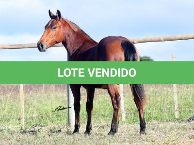 LOTE 013 - MICKEY REY STAR MIME