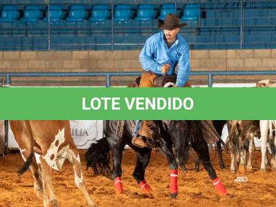 LOTE 009 - CAT KING COLE JR (Coberturas)