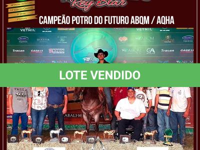 LOTE 100 - METALLIC REY STAR 4M (Coberturas)