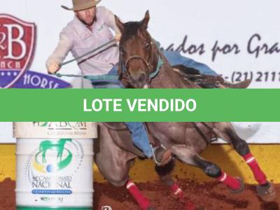 LOTE 002 - BLACKSMITH FAME BG (Coberturas)