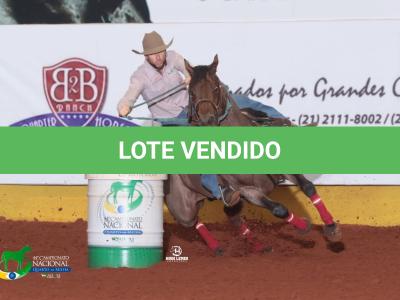 LOTE 002 - BLACKSMITH FAME BG (Coberturas)