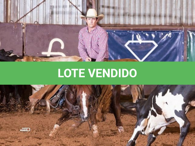 LOTE 010 - CHULA THIS DUAL (Coberturas)