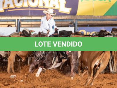 LOTE 029 A - NIKI SIXX (Coberturas)