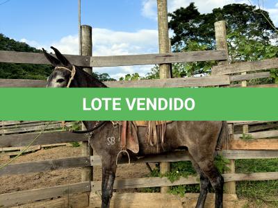 LOTE 010 - RENÚNCIA DO BANDEIRA