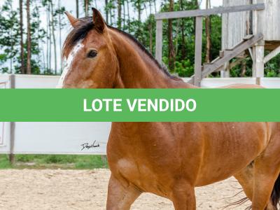 LOTE 010 - AMULETO ESM DA PPMP
