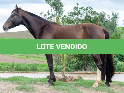 LOTE 002 - INQUIETA 1514E MAUFER (2x1)