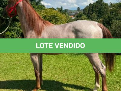 LOTE 012 - ODIN MOON FLY