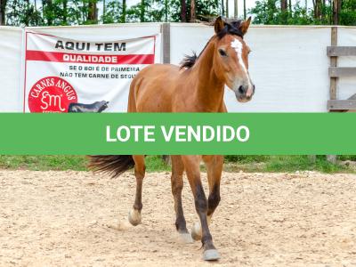 LOTE 012 - AURORA ESM DA PPMP