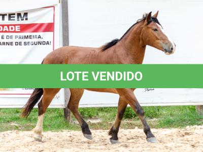 LOTE 010 - AMULETO ESM DA PPMP