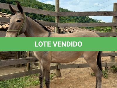 LOTE 006 - GUANABARA DO BANDEIRA