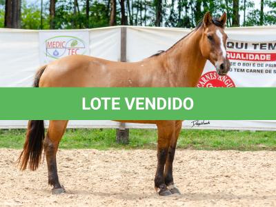 LOTE 007 - HANA DA RORAIMA (2x1)