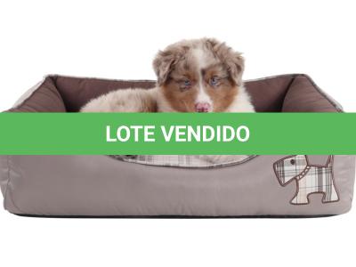 LOTE 099 - RED BOY YBJ