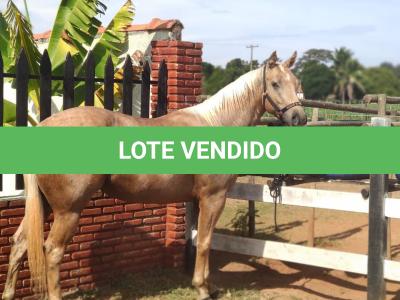 LOTE 008 - DUQUESA SIX EMZ