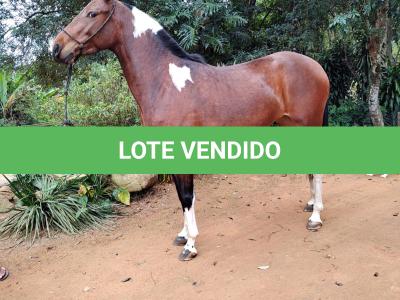 LOTE 020 - MAGIA DO RANCHO DO GUARDIÃO
