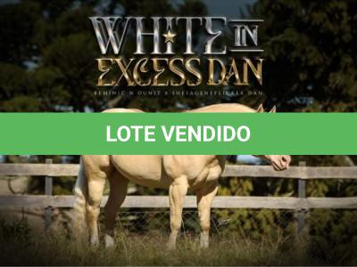 LOTE 007 - WHITE IN EXCESS DAN