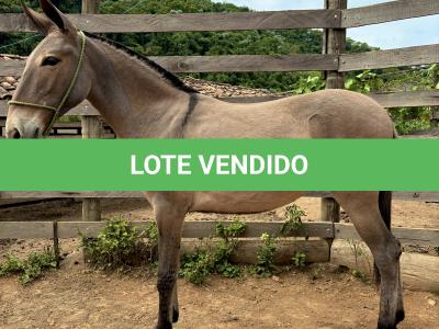 LOTE 006 - GUANABARA DO BANDEIRA