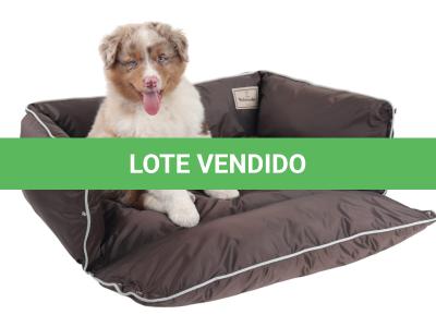LOTE 099 - RED BOY YBJ