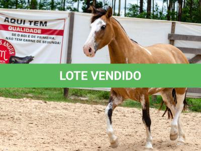 LOTE 008 - DEBOCHADA ESM DA PPMP