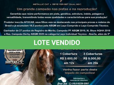 LOTE 019 - METALLIC REY STAR 4M