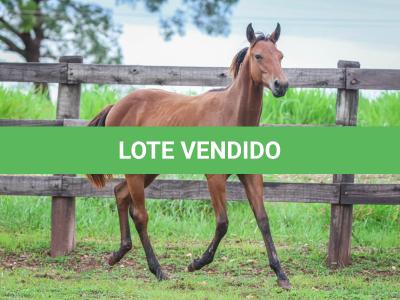LOTE 010 - LUCY HANCOCK GRAY