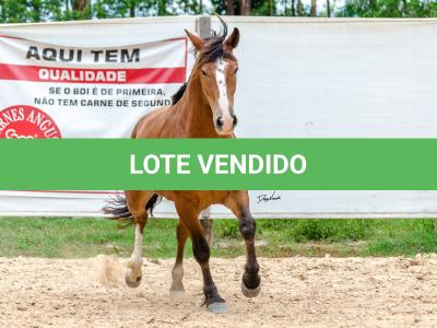 LOTE 010 - AMULETO ESM DA PPMP