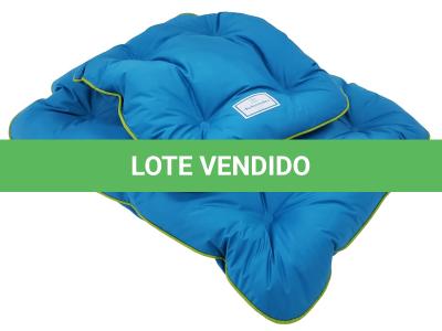 LOTE 099 - RED BOY YBJ
